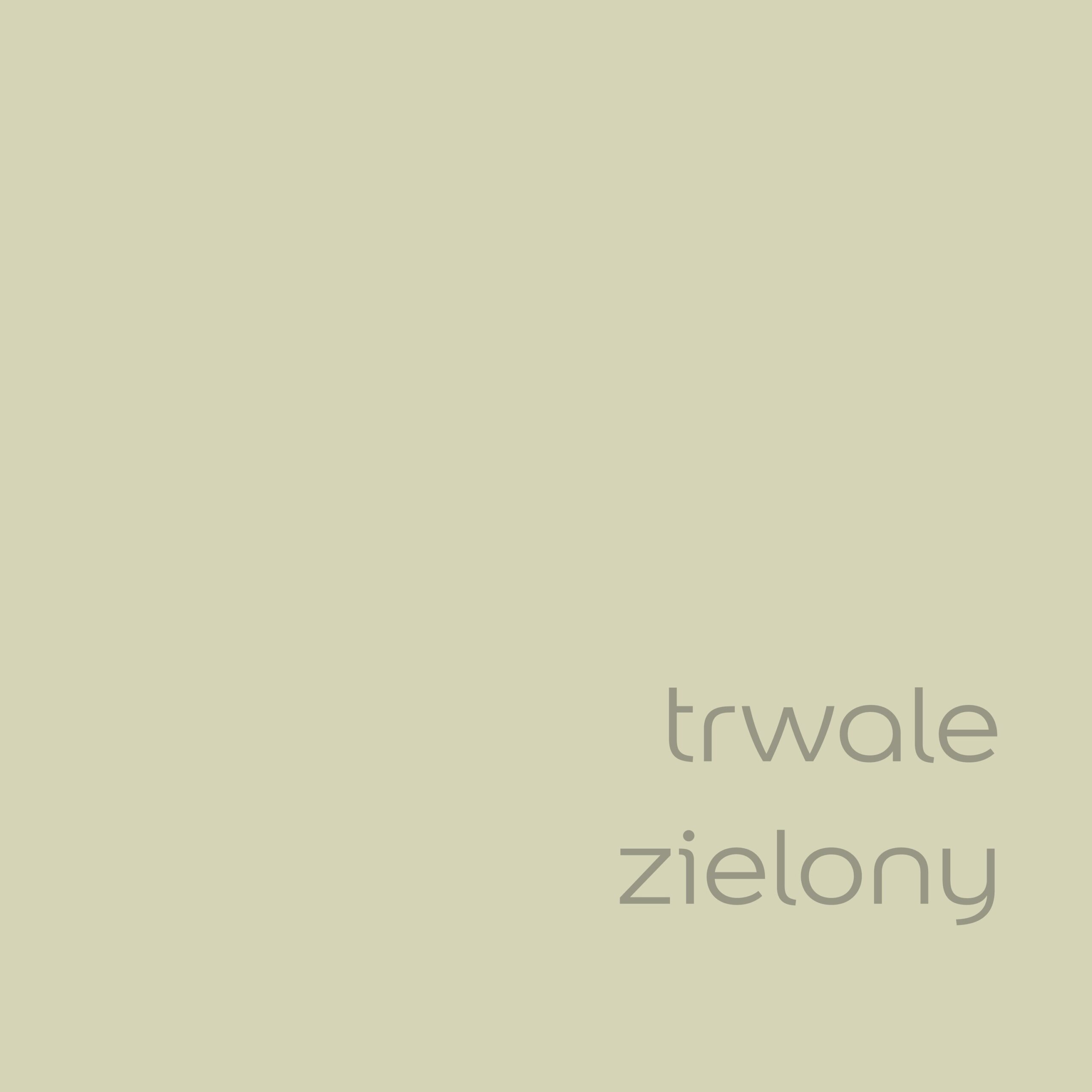 Farba Dulux EasyCare "Trwale zielony" 2,5L - obrazek 2