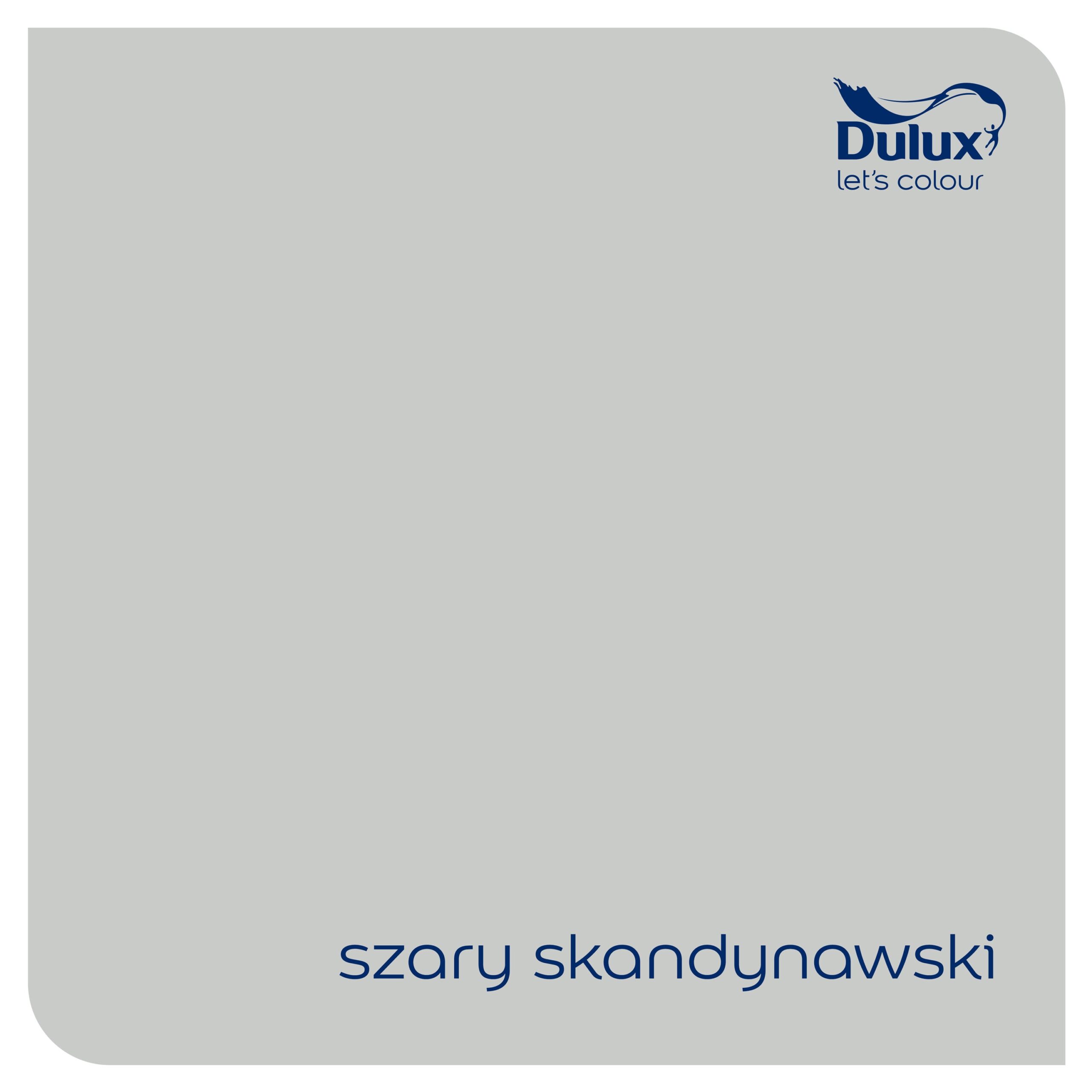 DULUX RAPIDRY 0,4L SZARY SKANDYNAWSKI - obrazek 2