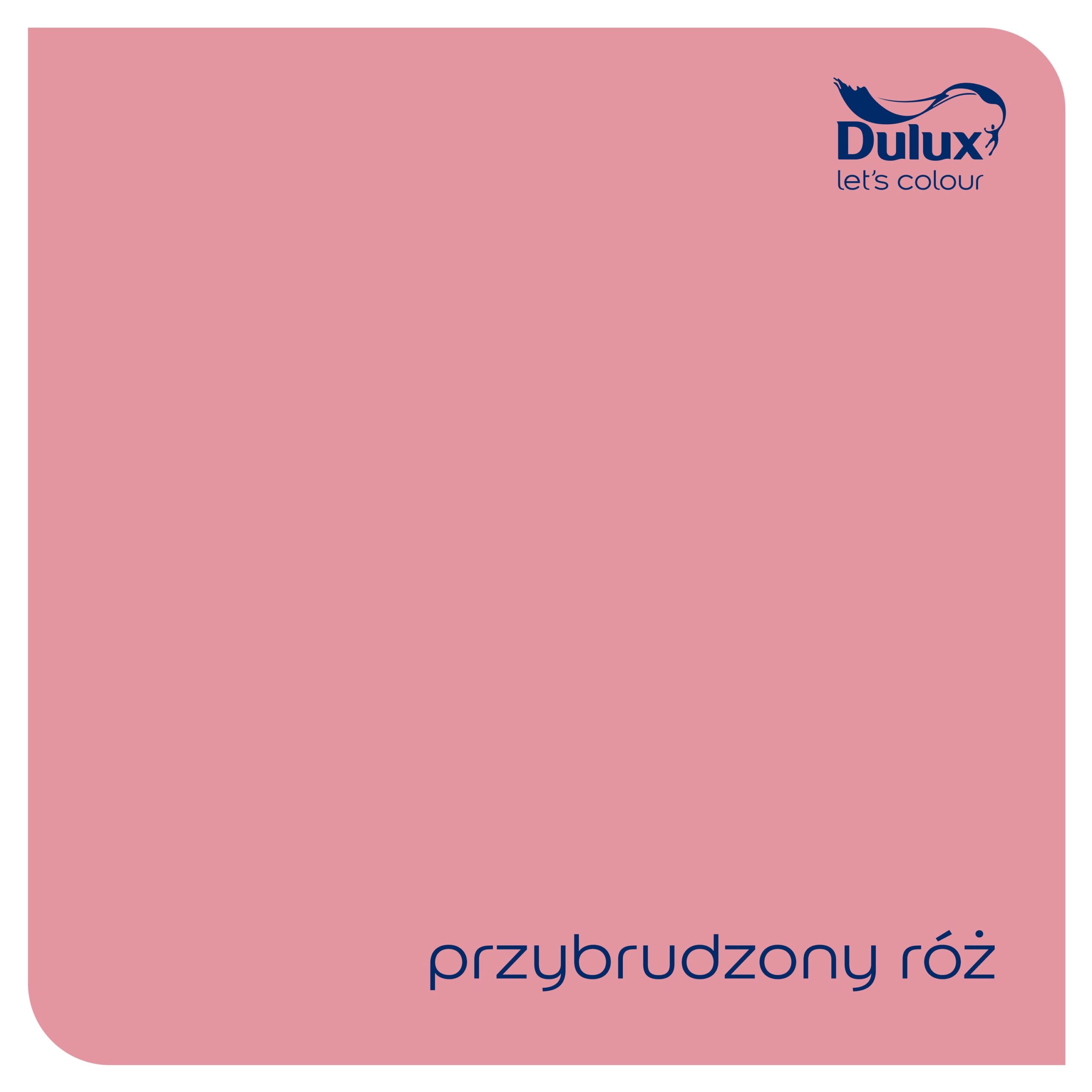 DULUX RAPIDRY 0,4L PRZYBRUDZONY RÓŻ - obrazek 2