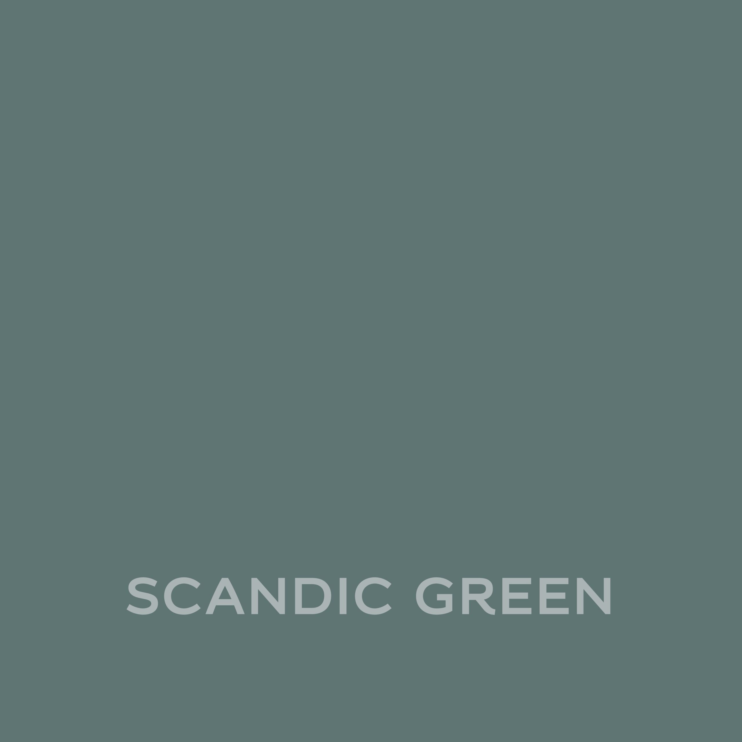 DULUX AMBIANCE CERAMIC SCANDIC GREEN 2,5L - obrazek 2