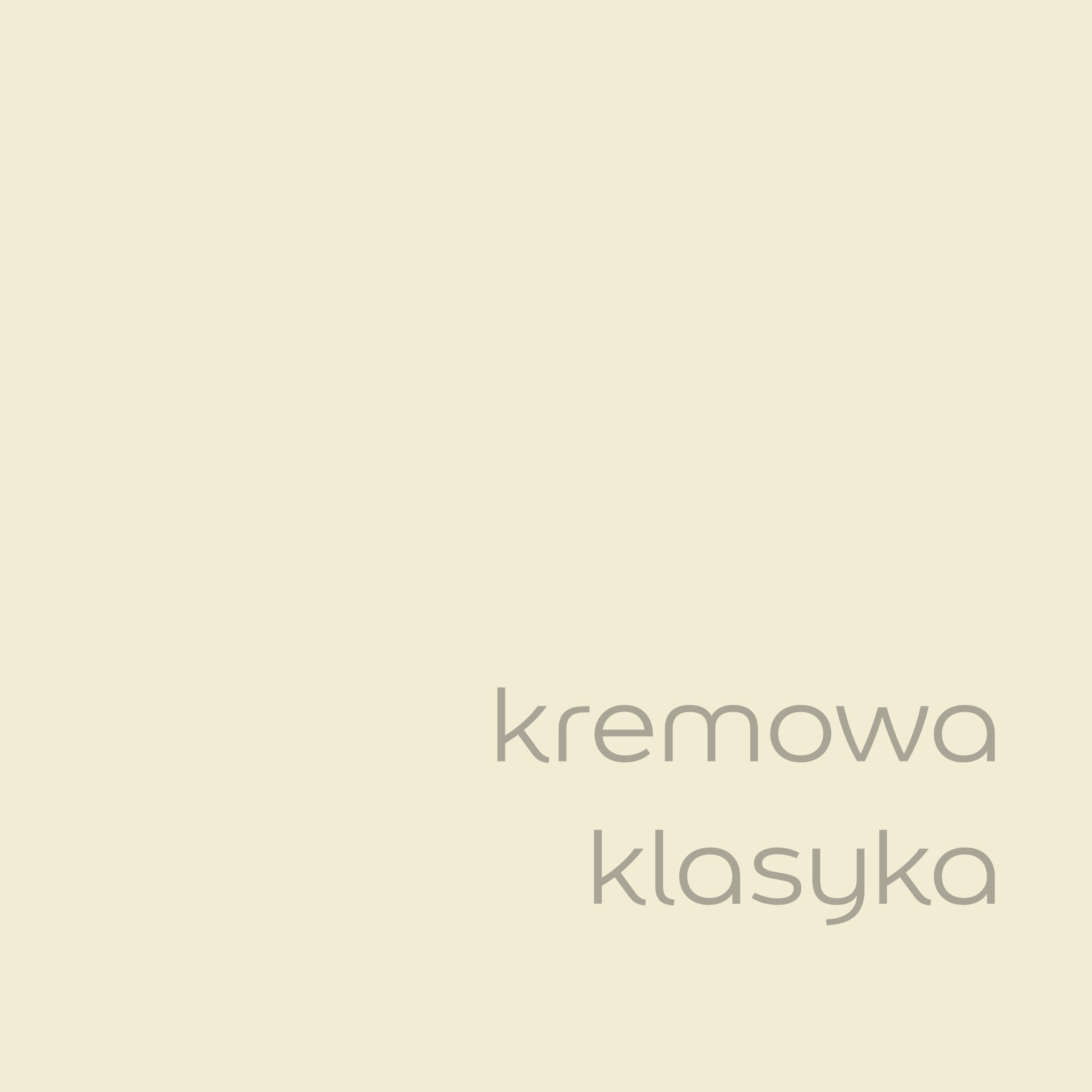 DULUX RAPIDRY 0,4L KREMOWA KLASYKA - obrazek 2