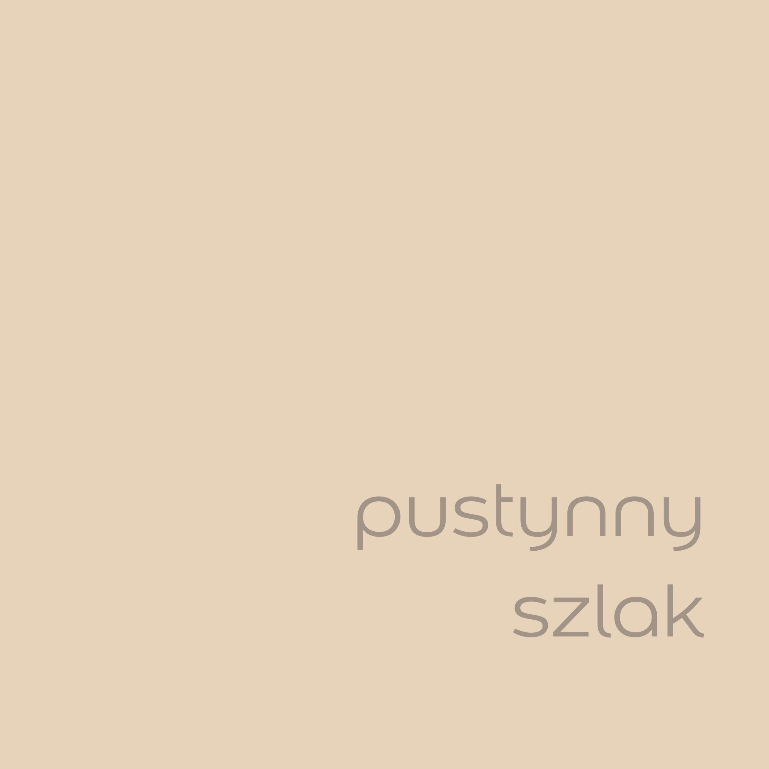 DULUX KOLORY ŚWIATA "Pustynny szlak" 2,5L - obrazek 2