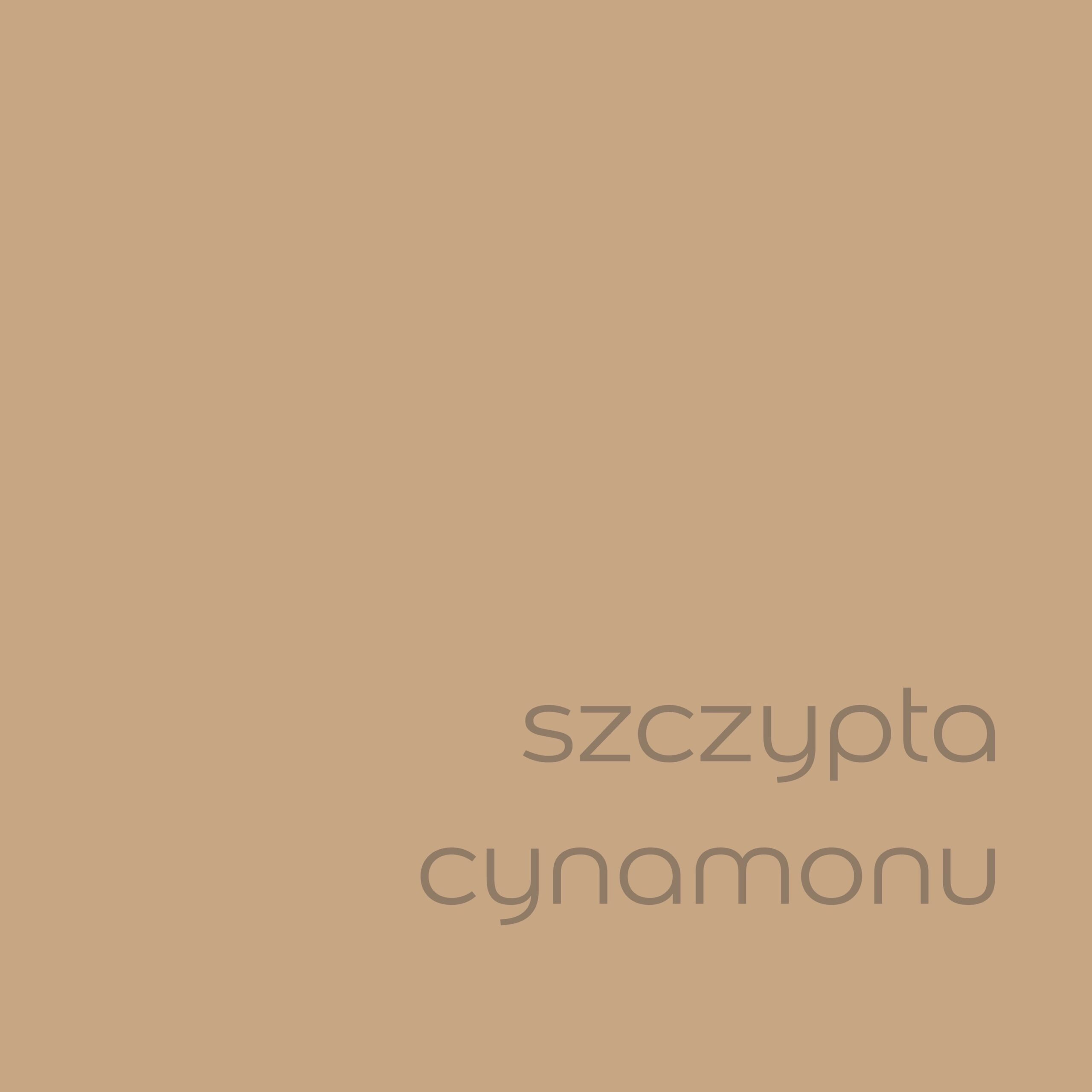 DULUX KOLORY ŚWIATA "Szczypta cynamonu" 5L - obrazek 2